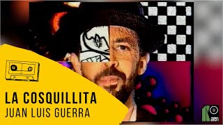 Juan Luis Guerra 440  La Cosquillita Video Oficial [upl. by Horlacher]