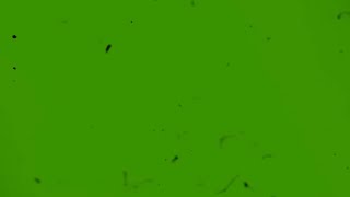 Old Film Grain Overlay Green Screen 4K UHD [upl. by Yun35]