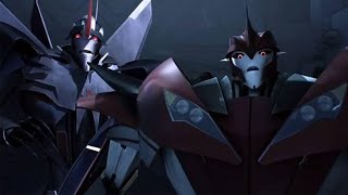 decepticons being dysfunctional and hilarious for 22 minutes [upl. by Elleret781]