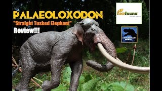 Eofauna Palaeoloxodon Review Straight Tusked Elephant [upl. by Ecinej]