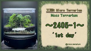 Moss Terrarium ～24051～ Long Ver コケリウム terrarium 苔テラリウム 苔 moss [upl. by Yl]