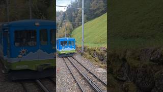 RigiBahnen BDeh 24 11 ArthRigiBahn rigibahnen migros train alpen trainspotting schweiz [upl. by Atsirc]