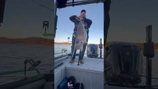 1st ever spoonbill I got a little excited lakeoftheozarks paddlefish procat loto [upl. by Jarvey]