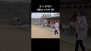 지구젤리 말 다 알아듣는 천재 앵무새들  앵무새 자유비행  eclectus parrot free flight [upl. by Siddon]