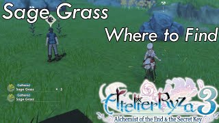 Atelier Ryza 3  Where to Find Sage Grass [upl. by Anawahs230]