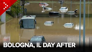 Alluvione Bologna il day after un pullman e numerose auto nellacqua a Borgo Panigale [upl. by Yelekreb]