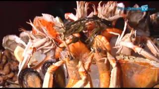 LE SUFFREN restaurant brasserie parisienne fruits de mer paris 75015 wwwpariszoomtvcom [upl. by Kcirej160]