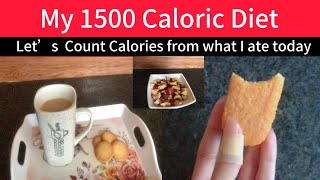 What 1500 calories look like count calories with me what I ate today [upl. by Sherrod]