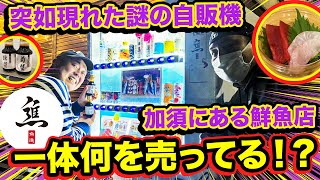 【魚進 鮮魚店】加須の魚屋に突如現れた変わった自販機の実態を調査！一体何が売られている！？ [upl. by Aibos]