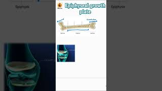 Epiphyseal growth plate  Metaphysis  Epiphysis  Diaphysis biology bones neetbiology [upl. by Terry]