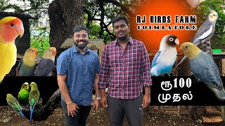 ரூ 100 முதல் RJ Birds Farm  Biggest birds farm Lowest price  Delivery Available [upl. by Enilaf351]