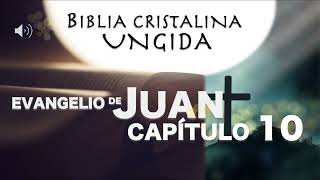 BIBLIA HABLADA Juan 10 AUDIOLIBRO el buen Pastor redil piedras contra Jesús BIBLIA CRISTALINA [upl. by Ygiaf]