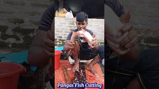 Incredible Giant Pangas Fish Cutting Techniques  Fish Cutting Skills [upl. by Faso]