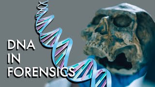 How is DNA used in Forensics  True Crime Encyclopedia [upl. by Maxy]