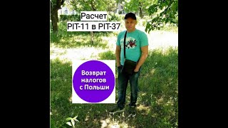 Как в Profil Zaufany найти PIT11 и PIT37 [upl. by Mona538]