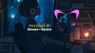 පතන්නේ මා ▏Pathanne ma Slowed  Reverb [upl. by Vladamar]