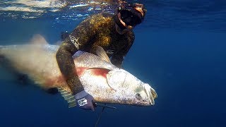 Spearfishing for Mulloway  Jew fish on offshore reefs and pinnacles [upl. by Moguel]