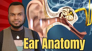 Ear Anatomy EXPLAINED in 3 Minutes [upl. by Trilly]