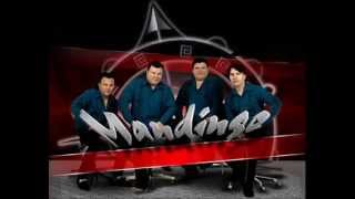 Grupo mandingo sus mejores exitos [upl. by Yggam181]