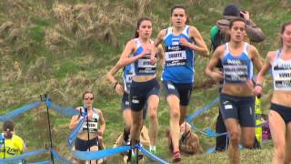 Bupa Great Edinburgh XCountry 2013 Part 2 of 2 [upl. by Onaireves]