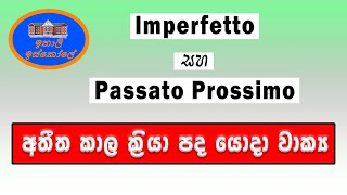 Italy Bashawa Sinhalen Frasi con passato prossimo e imperfetto අතීත කාල වාක්‍ය [upl. by Ahsirpac]