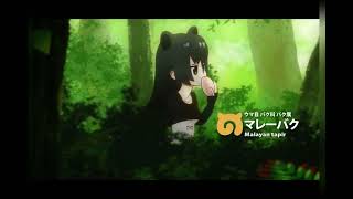 Kemono Friends Jungle Friends Part 2 [upl. by Olimreh]