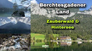 Berchtesgadener Land  Zauberwald amp Hintersee [upl. by Evalyn599]