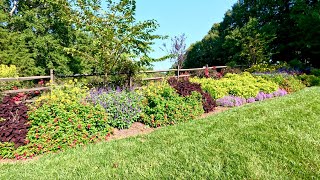 Stunning Flowers In the Late August Garden [upl. by Metsky]