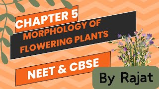 Morphology of flowering plants  Class 11 [upl. by Teteak]