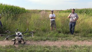 Drones seed cover crops in Central Iowa [upl. by Yalcrab372]