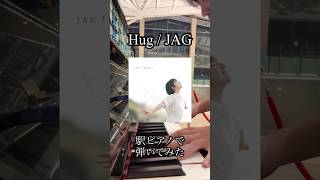 Hug  JAG（Piano ver） jag バンド hug piano ピアノ ピアノ演奏 駅ピアノ [upl. by Nnalatsyrc]