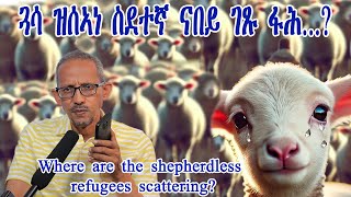 ስደተኛ ናይ ገጹ ፋሕ ይብል ኣሎ where the shepherdless refugees scattering ነጻ ኮፒeritrean refgees habesha [upl. by Faus]