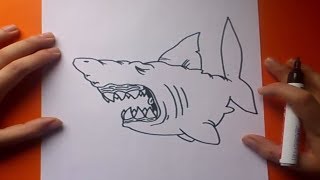 Como dibujar un tiburon paso a paso 3  How to draw a shark 3 [upl. by Lleze725]