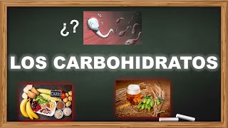 Lo Básico sobre Carbohidratos Explicación Directa y Fácil de Entender [upl. by Curt]