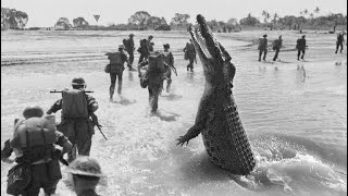 The Ramree Island Crocodile Massacre [upl. by Brig26]