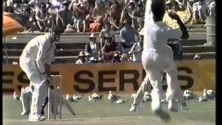 WEST INDIES FAST BOWLERS OF THE 80S  BRUTAL COMPILATION [upl. by Ystap883]