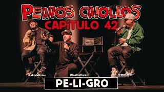 PERROS CRIOLLOS  PELIGRO CAP 42 [upl. by Ardnuasak400]