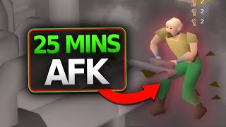 Longest AFK Methods in OSRS [upl. by Forsyth]