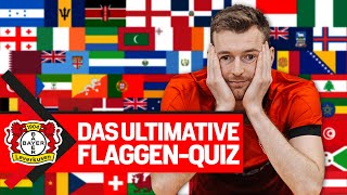 Kennt ein BundesligaTorwart wirklich alle Flaggen der Welt  🇿🇦🇰🇮🇸🇪 Lukas Hradecky im FahnenQUIZ [upl. by Niko702]