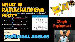 What is the Torsional Angle  Ramachandran Plot Overview  Tamil  Proteins  ThiNK Biology [upl. by Pearle]