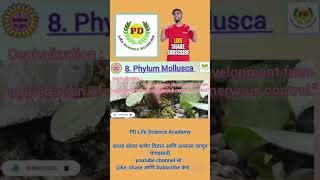 phylum Mollusca Cephalization  biology shorts nature [upl. by Sells]