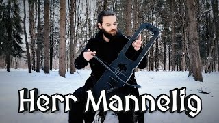 Sonorous Hill  Herr Mannelig tagelharpa cover [upl. by Sikleb]