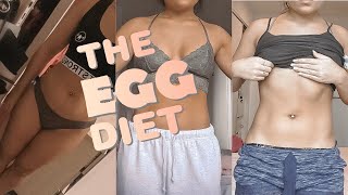 THE EGG DIET quick weight loss [upl. by Dilaw]