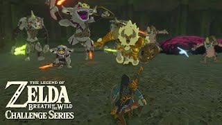 THE ULTIMATE COLISEUM CHALLENGE Breath of the Wild Challenge Series [upl. by Razaile]