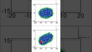 ShearInduced Migration of a Transmembrane Protein within a Vesicle [upl. by Keriann827]