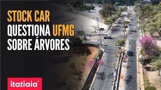 UFMG TEVE 5 MIL ÁRVORES CORTADAS NOS ÚLTIMOS ANOS DIZ ESTUDO [upl. by Nottarts]