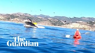 Kayakers nearly swallowed by humpback whale in California [upl. by Gentille]