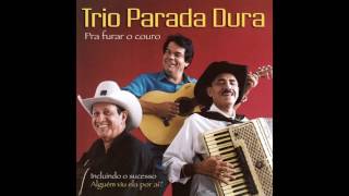 Trio Parada Dura  Brinco De Ouro [upl. by Olen]