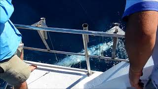 Mozambique Quelimane  Primeiras Archipelago fishing [upl. by Enidanreb]