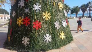 La Mata Torrevieja Christmas tree in Spain [upl. by Erodasi]